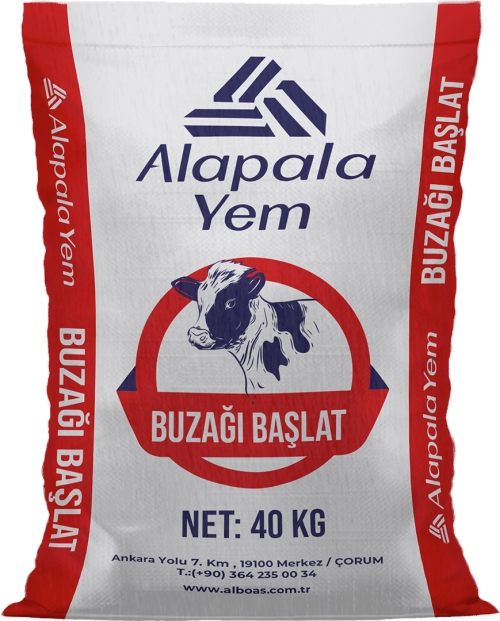 Alapala Buzağı Başlat