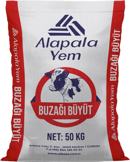 Alapala Buzağı Büyüt