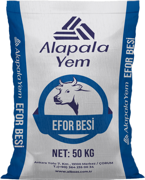 Alapala Efor Besi