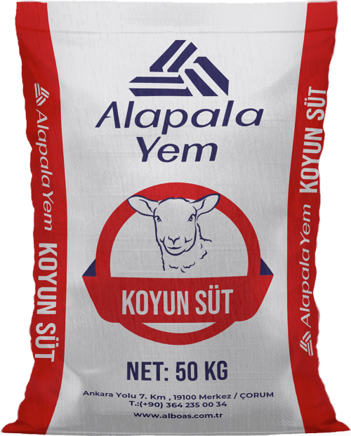 KOYUN SÜT