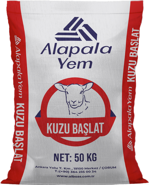 KUZU BAŞLAT