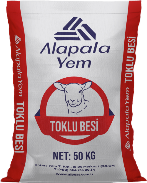 TOKLU BESİ