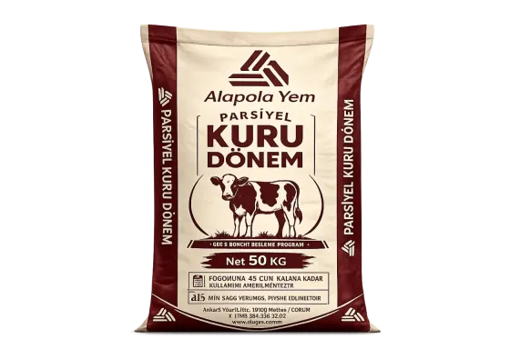 ALAPALA PARSİYEL KURU DÖNEM
